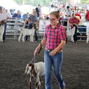 Meet your Posher, Susan